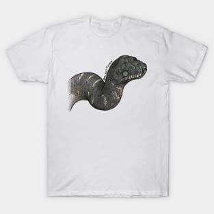 Muted Colour Boelen's Python CZ T-Shirt